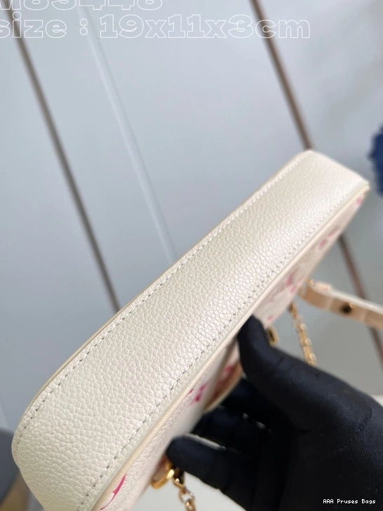 AAA Pruses Bags POUCH LOUIS STRAP ON VUITTON EASY 0820